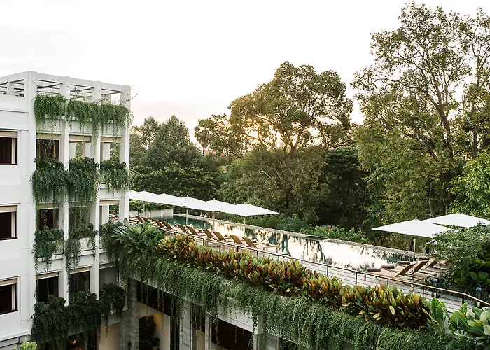 Treeline Urban Siem Reap