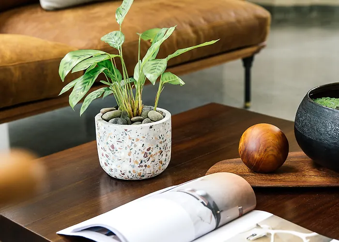 Treeline Urban Hotel Siem Reap