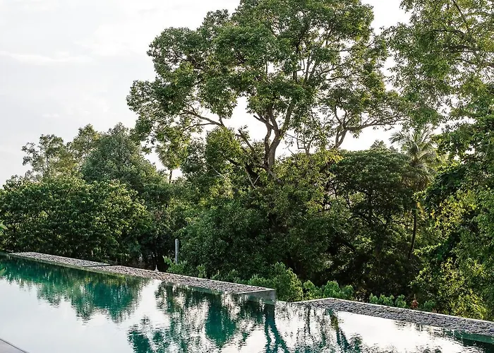 Treeline Urban 5*