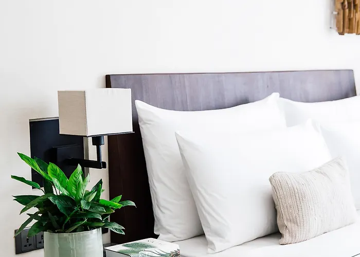 Treeline Urban Hotel Siem Reap