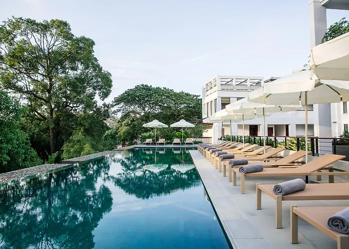 Hotel Treeline Urban