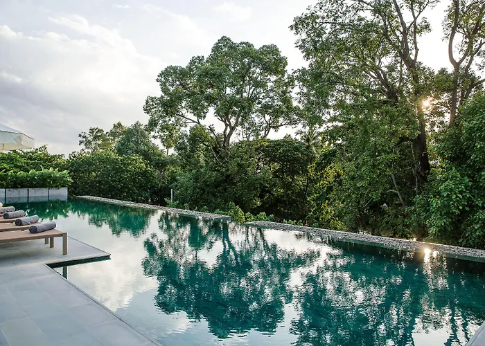 Hotel Treeline Urban