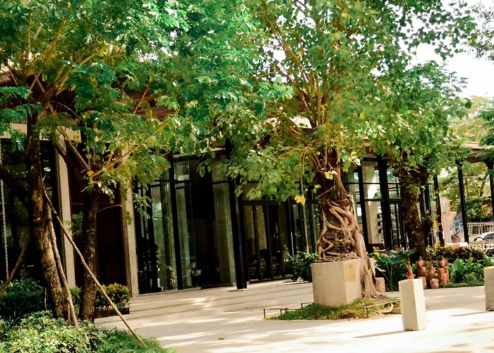 Treeline Urban Siem Reap