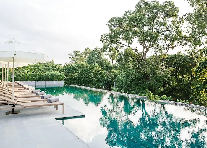 Treeline Urban Hotel Siem Reap