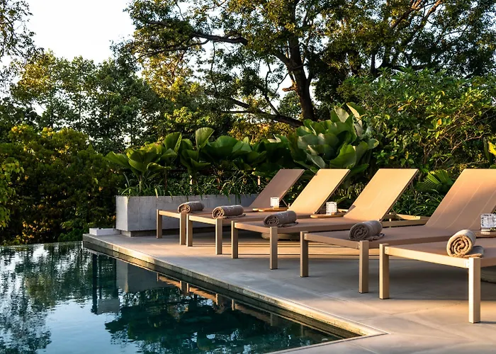 Treeline Urban Hotel 5*