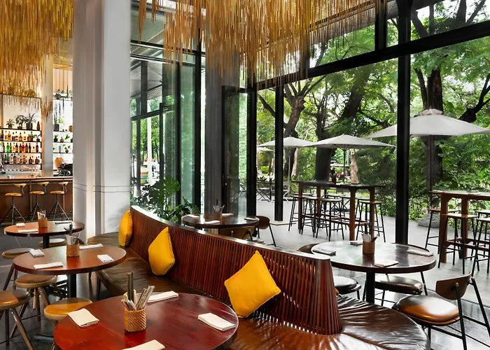 Treeline Urban 酒店 5*